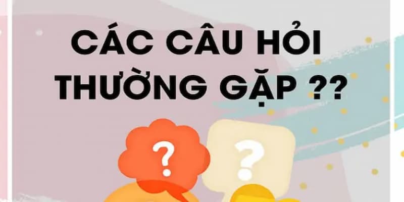Câu hỏi thường gặp 2 Câu hỏi thường gặp