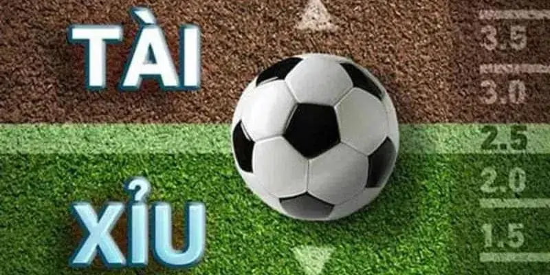 Kinh nghiệm soi kèo tài xỉu bóng đá từ cao thủ lâu năm 4 Kinh nghiệm soi kèo tài xỉu bóng đá