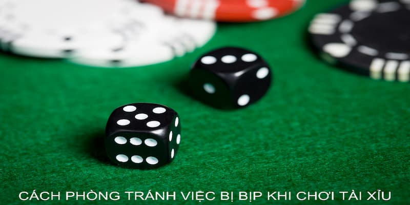 tai xiu co bip khong 2